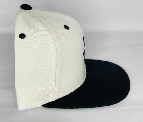 Lowded Snapback Cap (Neutral/Black)